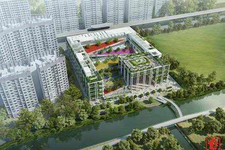 Oasis Terrace in Punggol 300m to The Terrace EC